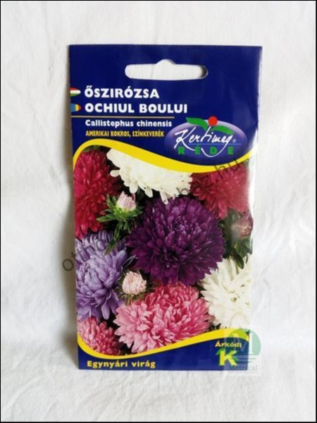 Őszirózsa amerikai bokros virágmag