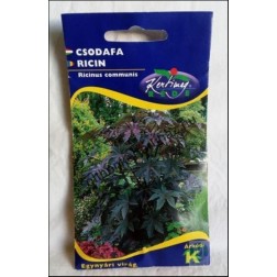 Csodafa/Ricinus communis virágmag